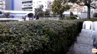 ドラゴンディルド騎乗位でアヘ顔アクメをキメる